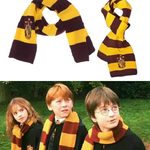 Set Disfraz de Harry Potter